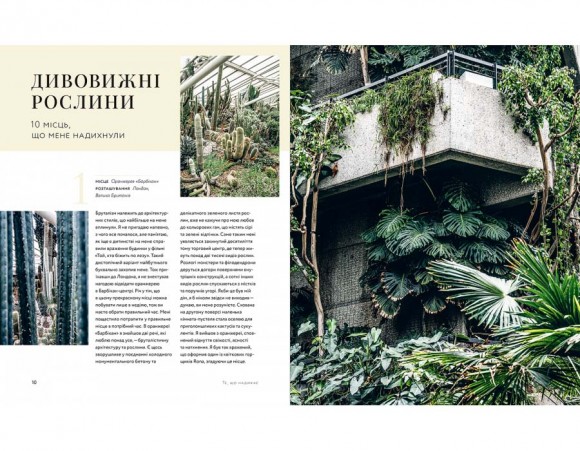 Дикі інтер’єри. Красиві рослини в чудових просторах