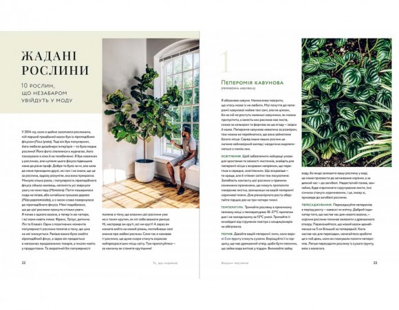 Дикі інтер’єри. Красиві рослини в чудових просторах