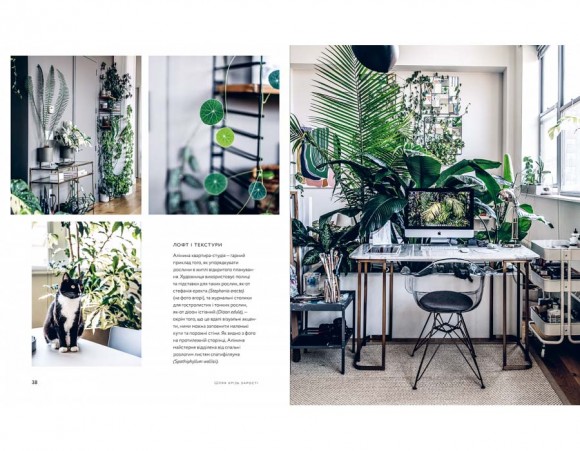 Дикі інтер’єри. Красиві рослини в чудових просторах