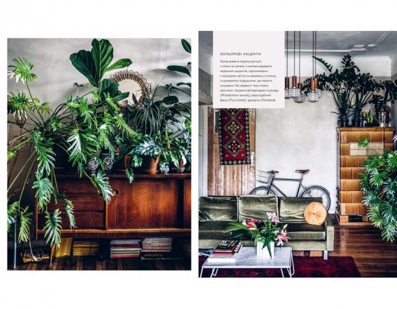 Дикі інтер’єри. Красиві рослини в чудових просторах
