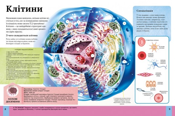 Дитяча енциклопедія тіла людини Дитяча енциклопедія тіла людини