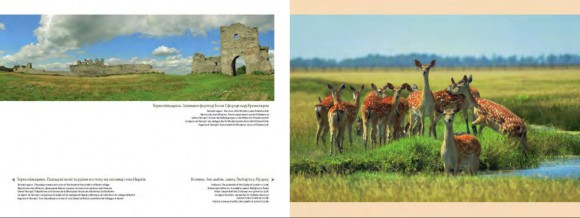 Ukraine singolare (італ.) Ukraine singolare (італ.)