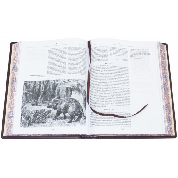 Энциклопедия охоты Энциклопедия охоты