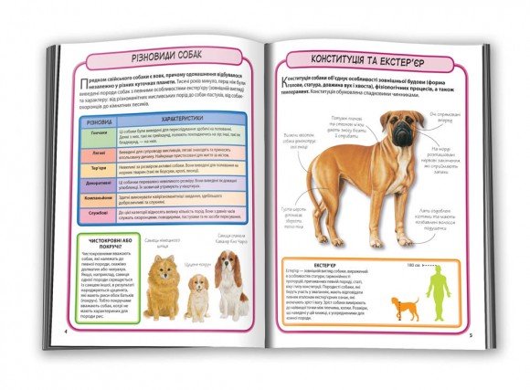 Собаки. Міні-енциклопедія Собаки. Міні-енциклопедія