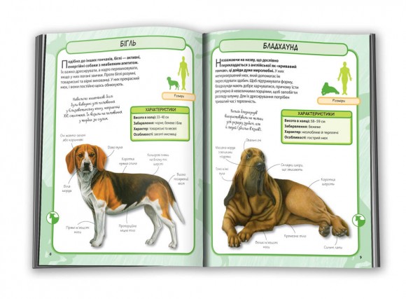 Собаки. Міні-енциклопедія Собаки. Міні-енциклопедія