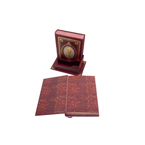 Витязь в тигровой шкуре. В 2-х томах