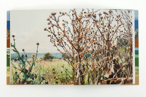 Харківська пейзажна школа. Остання чверть XІХ – початок XХ століття