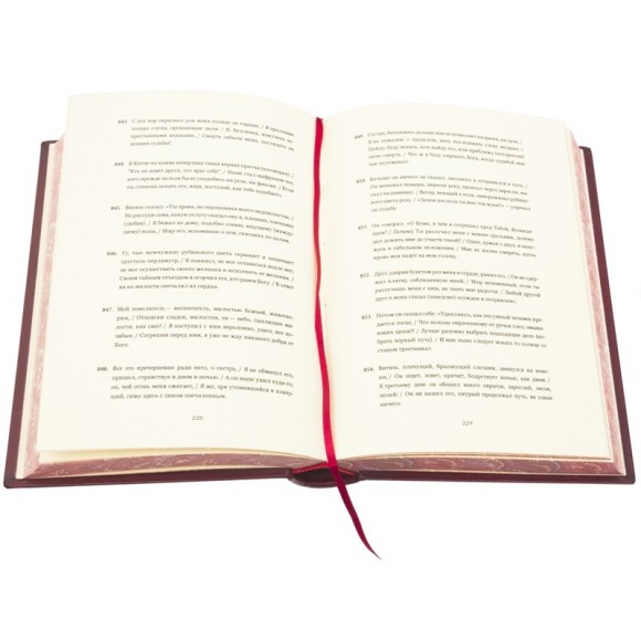 Витязь в тигровой шкуре Витязь в тигровой шкуре