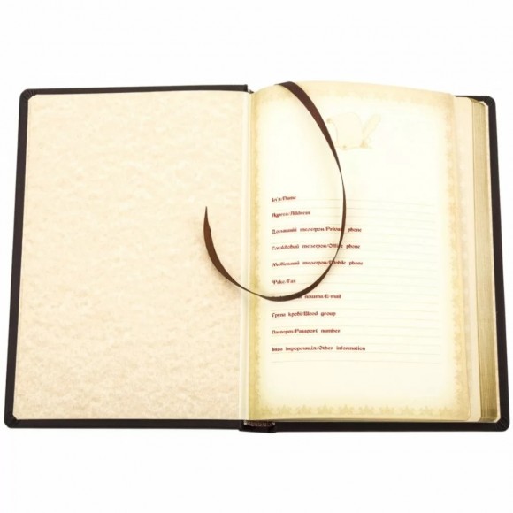 Щоденник "Ангел Охоронець" Щоденник "Ангел Охоронець"