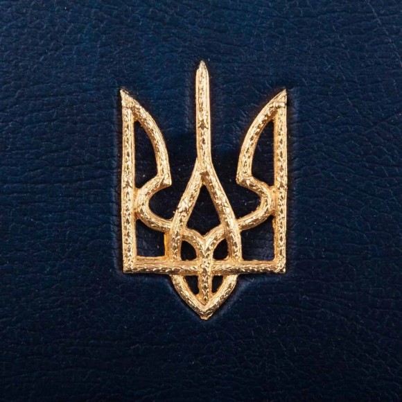 Конституція України Конституція України