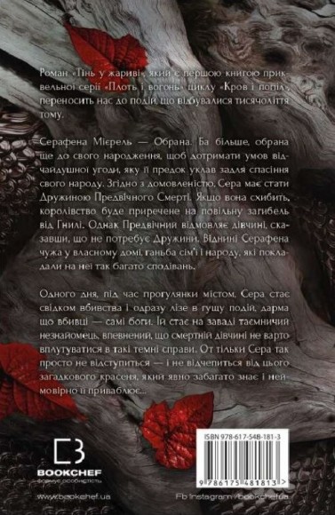 Плоть і вогонь. Книга 1. Тінь у жариві Плоть і вогонь. Книга 1. Тінь у жариві