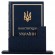 Конституція України