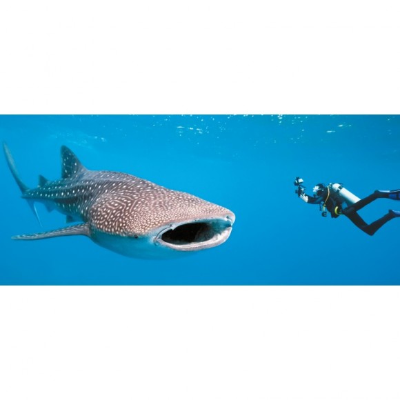 Жемчужины нашей планеты. Уникальные творения природы и человека Жемчужины нашей планеты. Уникальные творения природы и человека