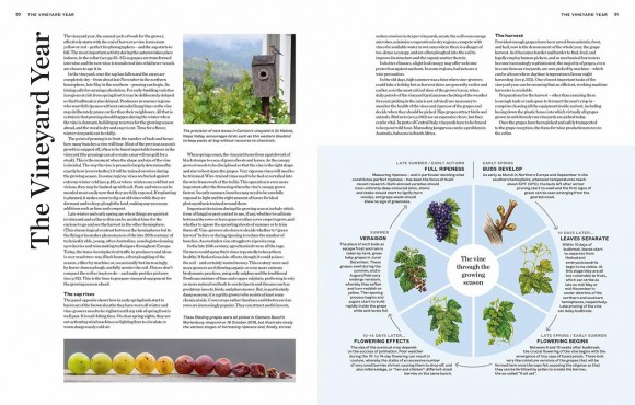 The World Atlas of Wine 8th Edition The World Atlas of Wine 8th Edition