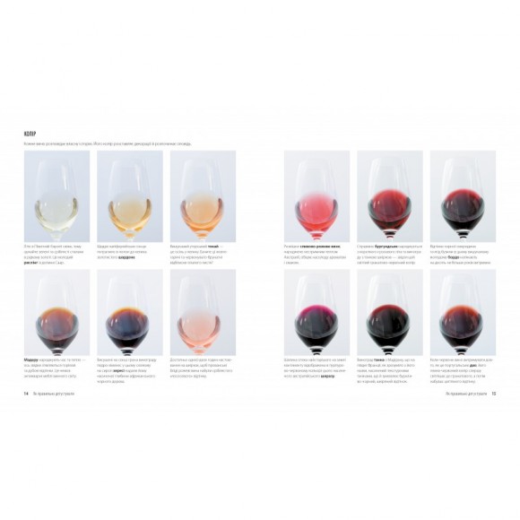 Вино. Курс Ендрю Джеффорда