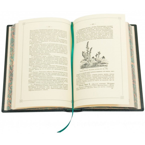 Целебный травник