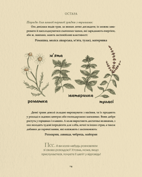 Колесо року: Ілюстрований путівник ритмами природи