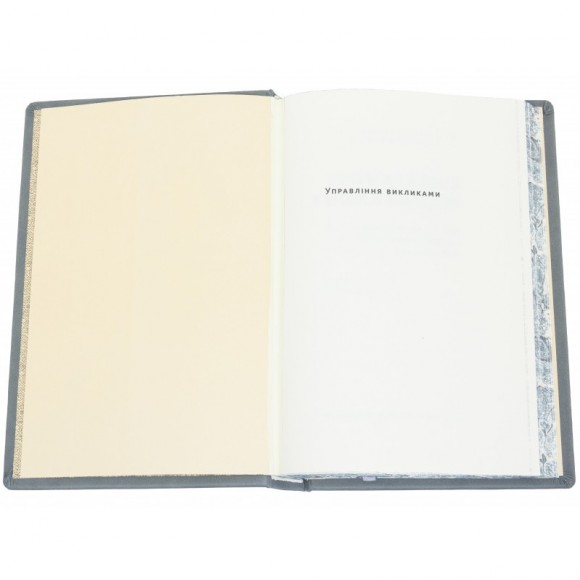 Управління викликами. Як застосувати спортивну стратегію у житті та бізнесі Управління викликами. Як застосувати спортивну стратегію у житті та бізнесі