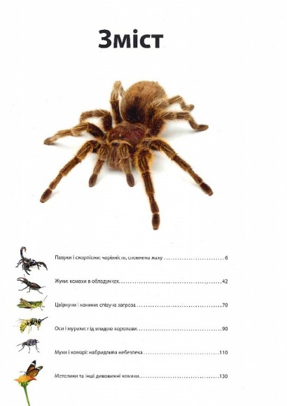 Велика книга комах