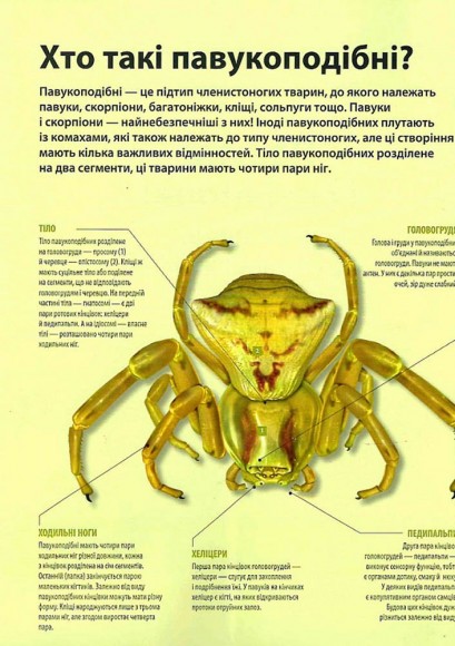 Велика книга комах