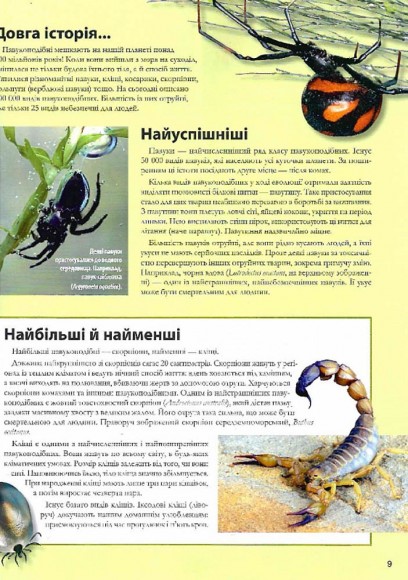 Велика книга комах