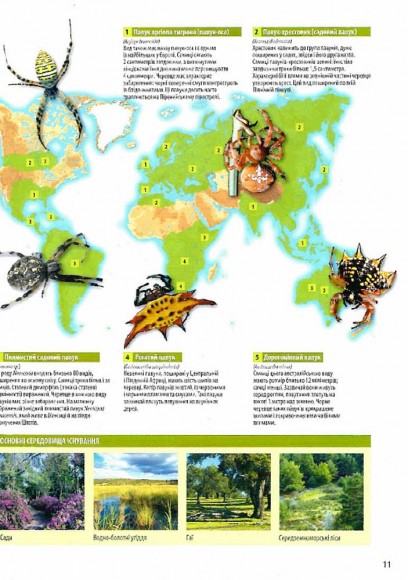 Велика книга комах