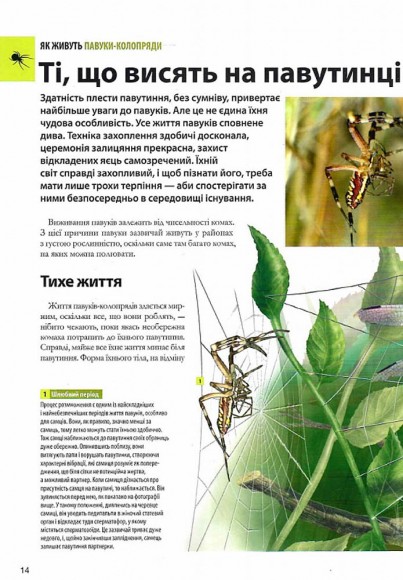 Велика книга комах