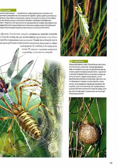 Велика книга комах