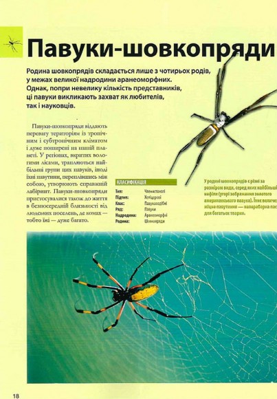 Велика книга комах