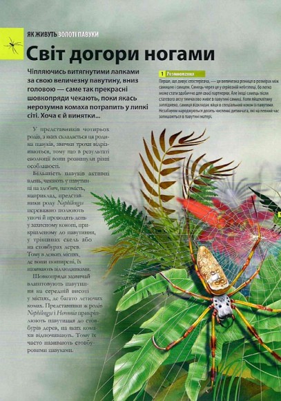 Велика книга комах