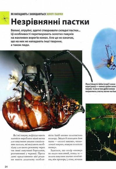 Велика книга комах