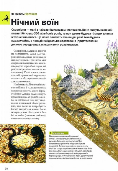 Велика книга комах