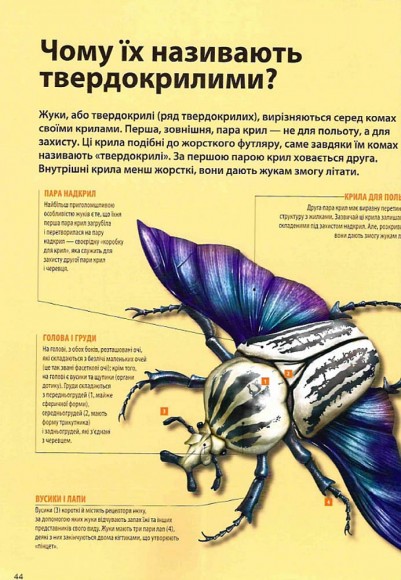 Велика книга комах