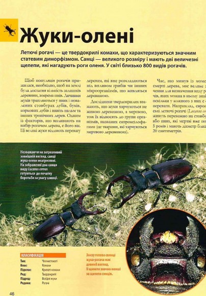 Велика книга комах