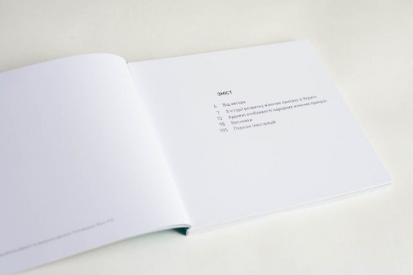 Українські народні жіночі прикраси ХІХ - початку ХХ століть. Частина 1 Українські народні жіночі прикраси ХІХ - початку ХХ століть. Частина 1