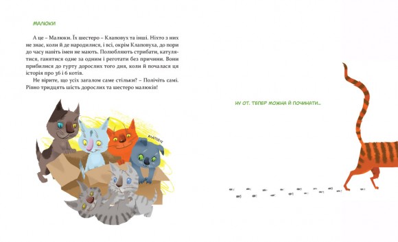 36 і 6 котів 36 і 6 котів