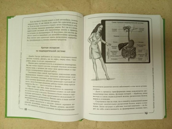 Кишка всему голова. Кожа, вес, иммунитет и счастье — что кроется в извилинах «второго мозга» Кишка всему голова. Кожа, вес, иммунитет и счастье — что кроется в извилинах «второго мозга»