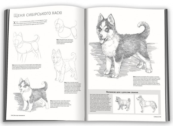 Все про малювання. Понад 200 технік, уроків і порад для художників-початківців