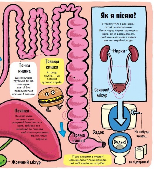 Маленькі дослідники. Моє дивовижне тіло