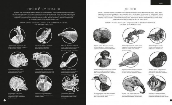 Приховані дива (+ чарівні лінзи) Приховані дива (+ чарівні лінзи)