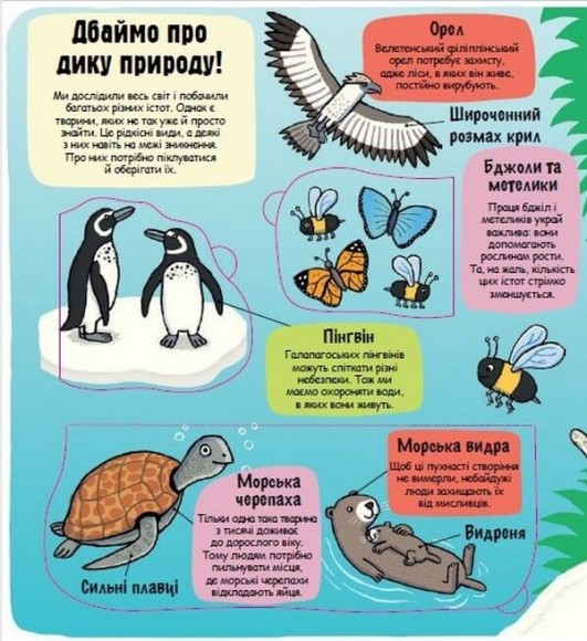 Маленькі дослідники. Світ тварин