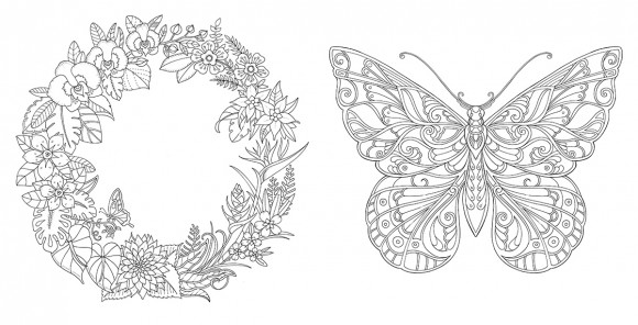 Магія джунглів (розмальовка-антистрес)