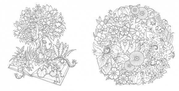 Магія джунглів (розмальовка-антистрес)