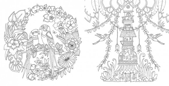 Магія джунглів (розмальовка-антистрес)