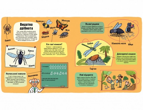 Маленькі дослідники. Комашки Маленькі дослідники. Комашки