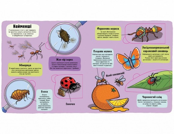 Маленькі дослідники. Комашки Маленькі дослідники. Комашки