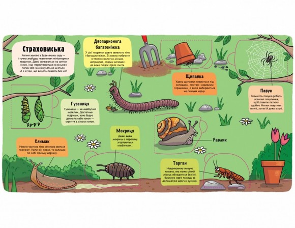 Маленькі дослідники. Комашки Маленькі дослідники. Комашки