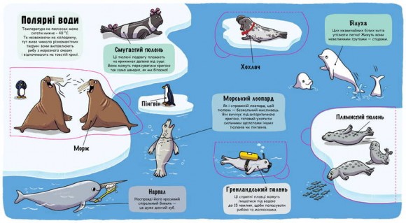 Маленькі дослідники. Підводний світ