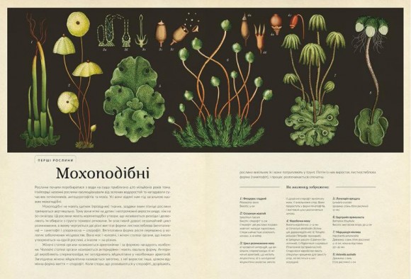 Ботанікум Ботанікум