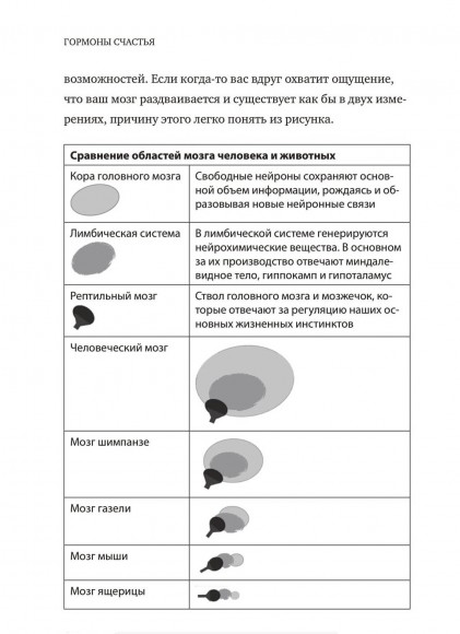 Гормоны счастья. Приучите свой мозг вырабатывать серотонин, дофамин, эндорфин и окситоцин